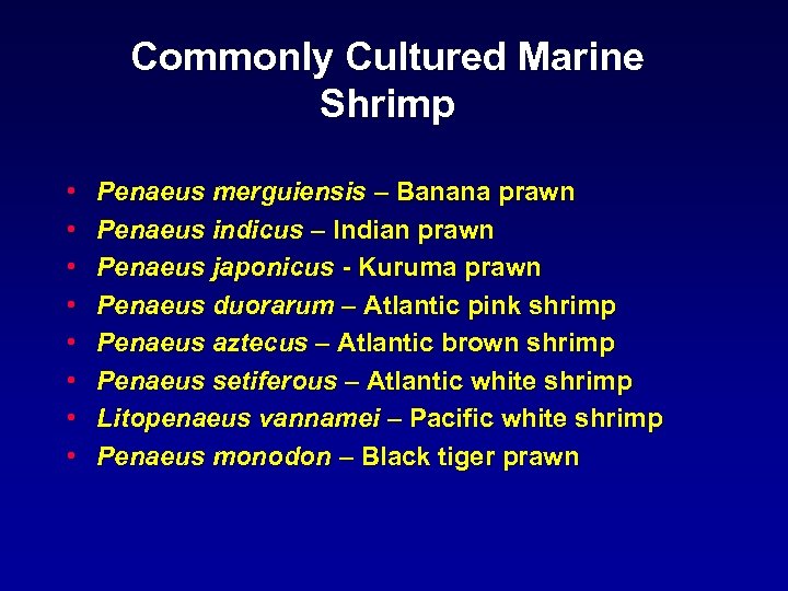 Commonly Cultured Marine Shrimp • • Penaeus merguiensis – Banana prawn Penaeus indicus –