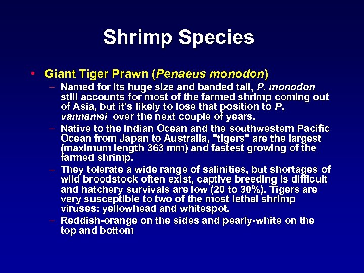 Shrimp Species • Giant Tiger Prawn (Penaeus monodon) – Named for its huge size