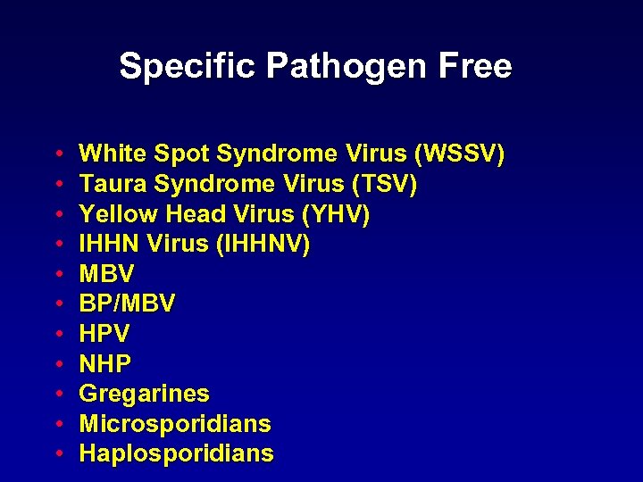 Specific Pathogen Free • • • White Spot Syndrome Virus (WSSV) Taura Syndrome Virus