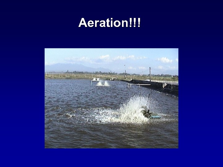 Aeration!!! 