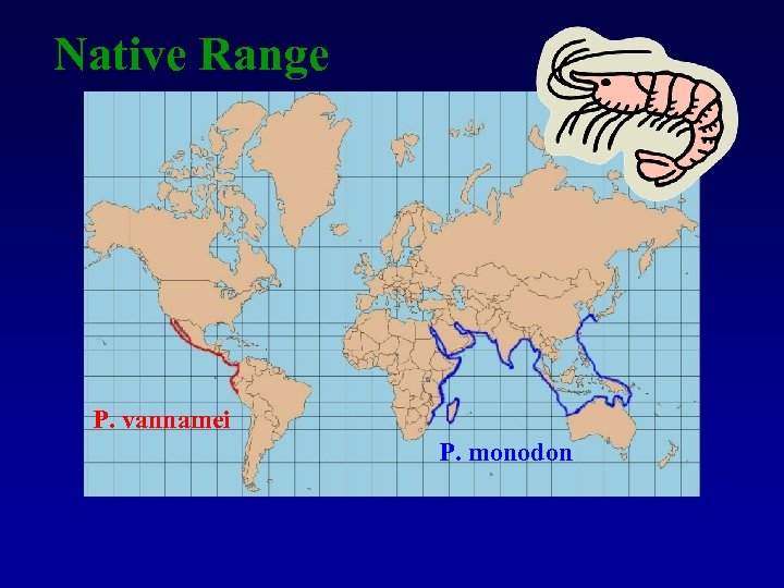 Native Range P. vannamei P. monodon 