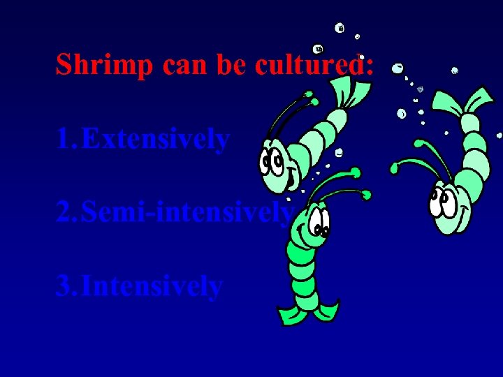 Shrimp can be cultured: 1. Extensively 2. Semi-intensively 3. Intensively 