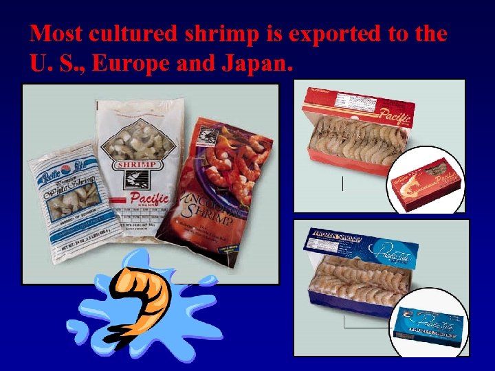 Most cultured shrimp is exported to the U. S. , Europe and Japan. 