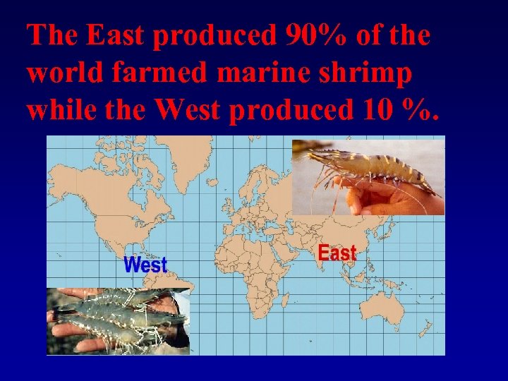 The East produced 90% of the world farmed marine shrimp while the West produced
