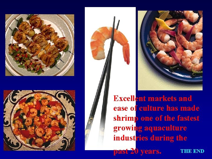 Excellent markets and ease of culture has made shrimp one of the fastest growing
