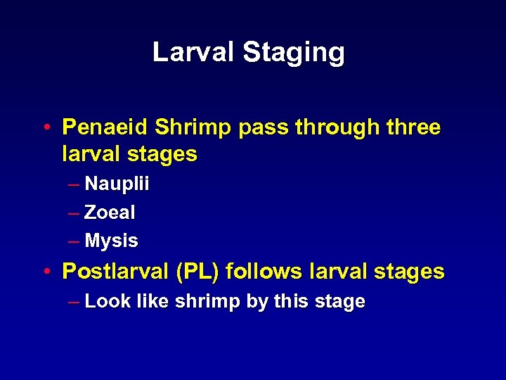Larval Staging • Penaeid Shrimp pass through three larval stages – Nauplii – Zoeal