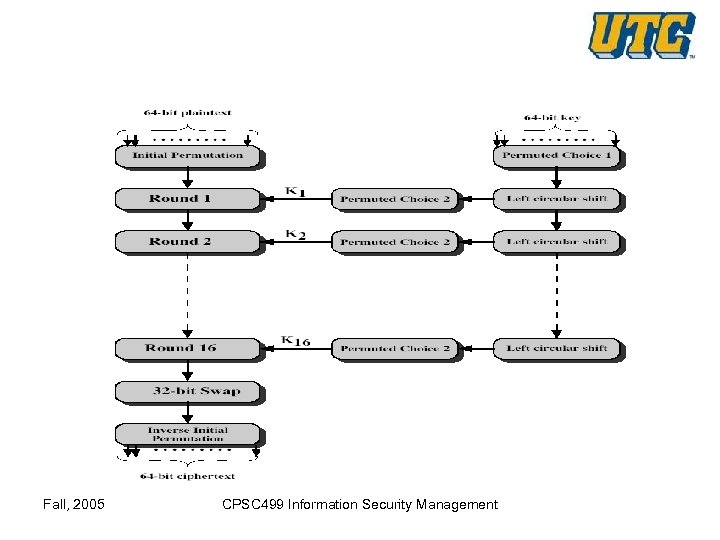 Fall, 2005 CPSC 499 Information Security Management 