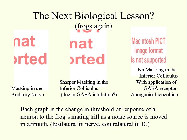 The Next Biological Lesson? (frogs again) Masking in the Auditory Nerve Sharper Masking in