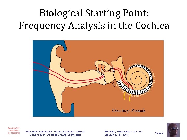 Biological Starting Point: Frequency Analysis in the Cochlea Courtesy: Phonak Intelligent Hearing Aid Project