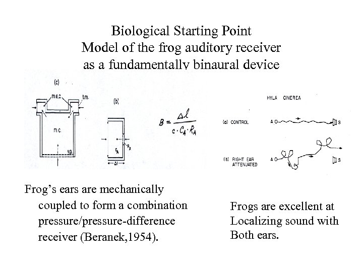 Biological Starting Point Model of the frog auditory receiver as a fundamentally binaural device