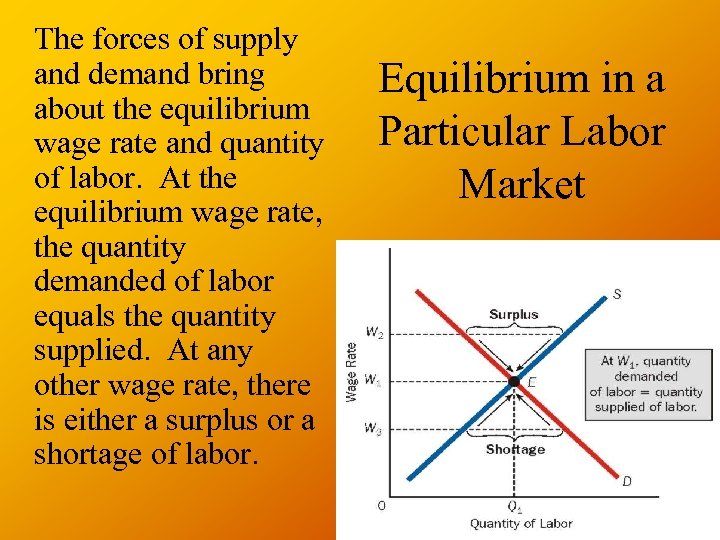 The forces of supply and demand bring about the equilibrium wage rate and quantity