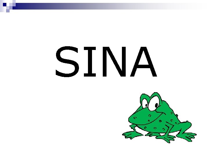 SINA 