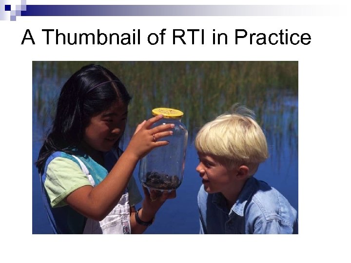 A Thumbnail of RTI in Practice 