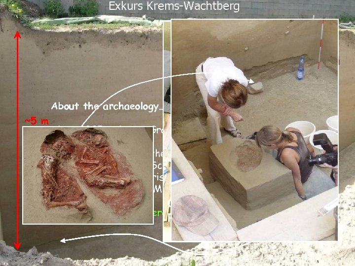 Exkurs Krems-Wachtberg © Thomas Einwögerer l rthern wal no About the archaeology……. ~5 m