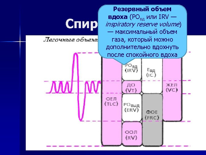 Резервный объем вдоха (РОвд или IRV — inspiratory reserve volume) — максимальный объем газа,