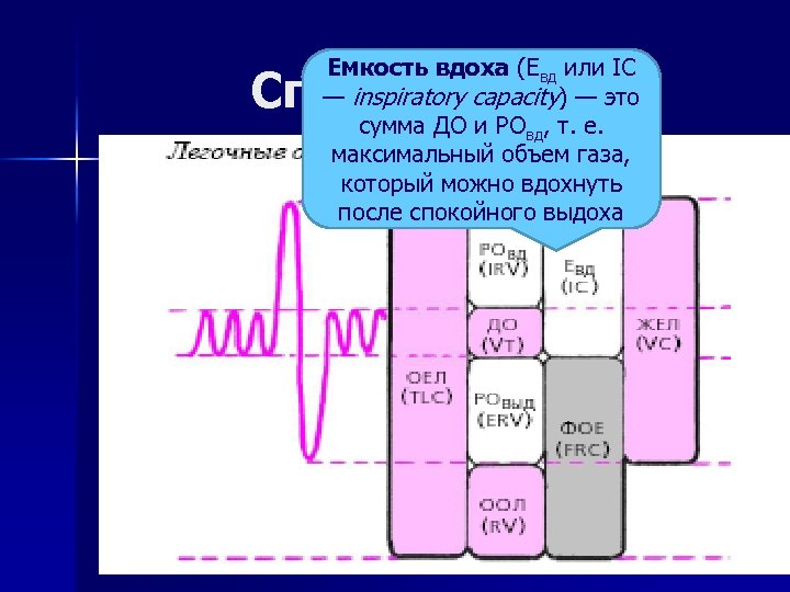 Емкость вдоха (Евд или IC — inspiratory capacity) — это сумма ДО и РОвд,