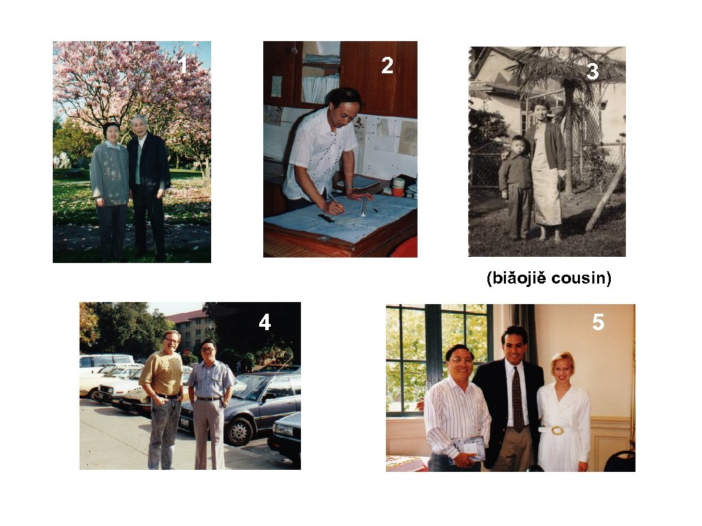 1 2 3 (biǎojiě cousin) 4 5 