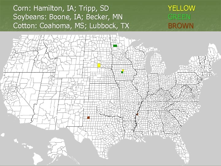 Corn: Hamilton, IA; Tripp, SD Soybeans: Boone, IA; Becker, MN Cotton: Coahoma, MS; Lubbock,