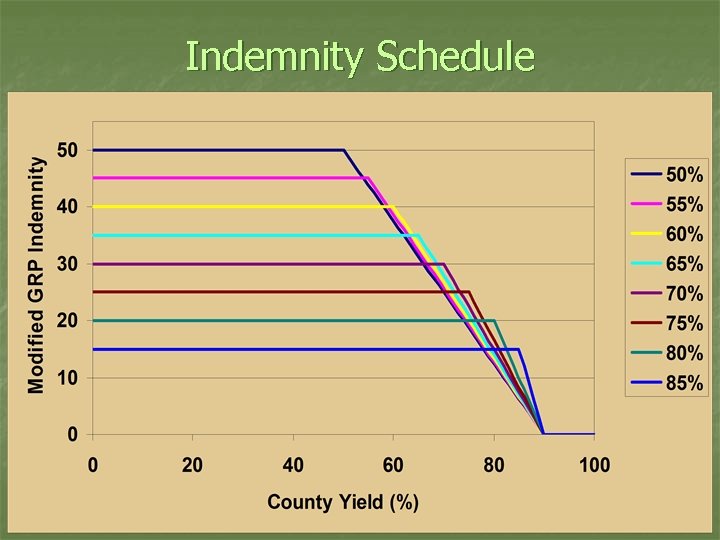 Indemnity Schedule 