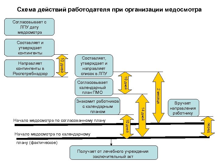 Схема действий работодателя при организации медосмотра Согласовывает с ЛПУ дату медосмотра Составляет и утверждает