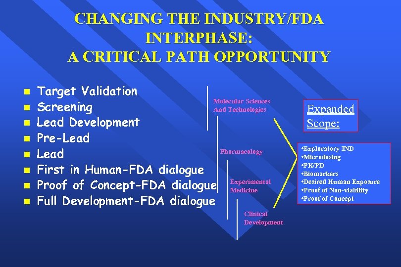 CHANGING THE INDUSTRY/FDA INTERPHASE: A CRITICAL PATH OPPORTUNITY n n n n Target Validation