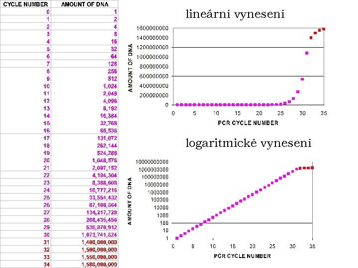 lineární vynesení logaritmické vynesení 
