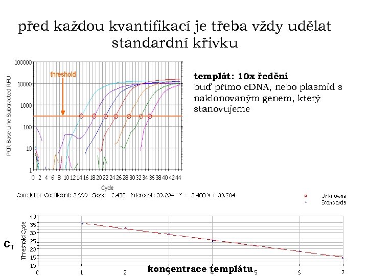 před každou kvantifikací je třeba vždy udělat standardní křivku templát: 10 x ředění buď