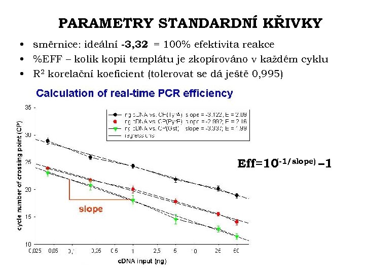 PARAMETRY STANDARDNÍ KŘIVKY • směrnice: ideální -3, 32 = 100% efektivita reakce • %EFF