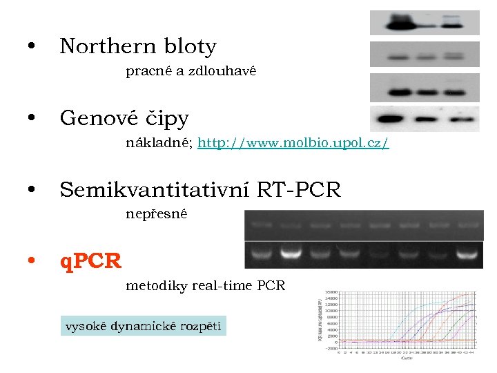  • Northern bloty pracné a zdlouhavé • Genové čipy nákladné; http: //www. molbio.