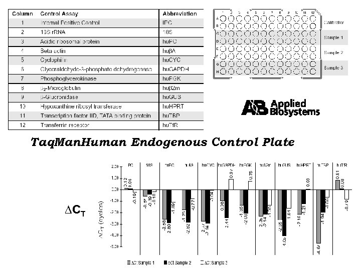 Taq. Man. Human Endogenous Control Plate CT 