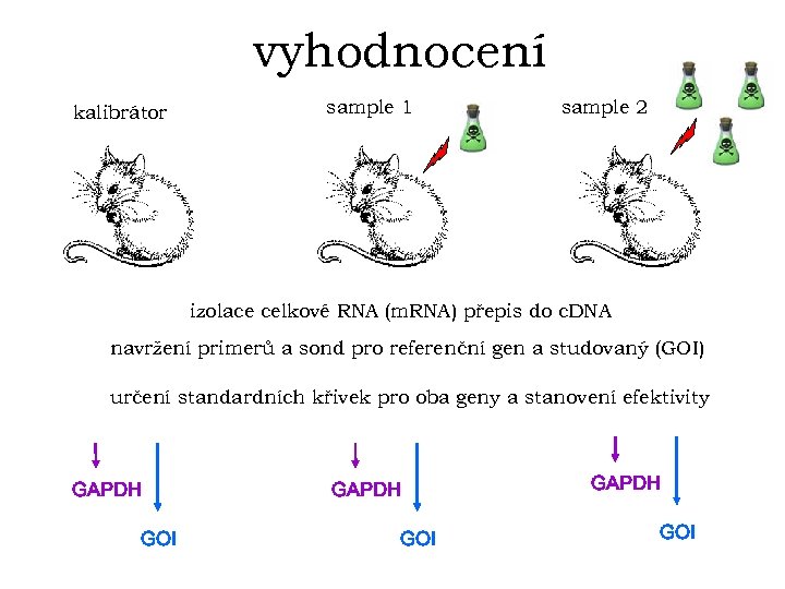 vyhodnocení kalibrátor sample 1 sample 2 izolace celkové RNA (m. RNA) přepis do c.