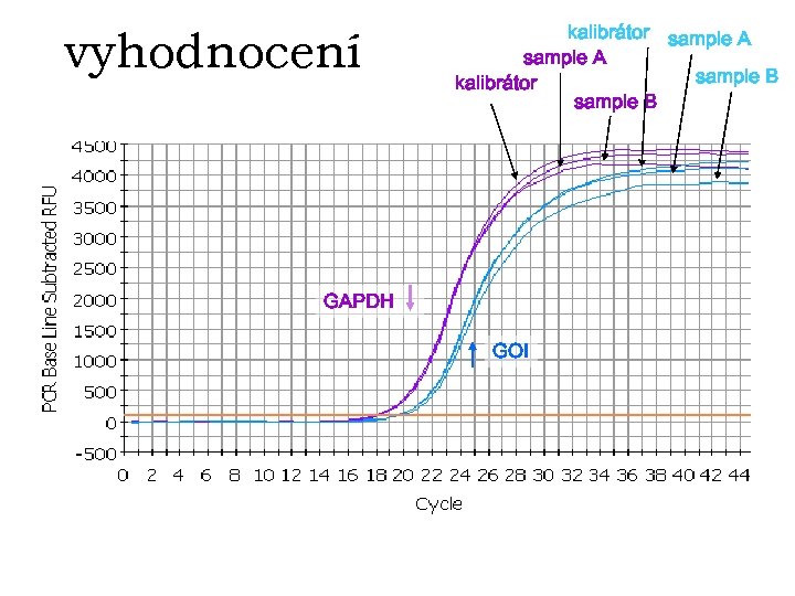 vyhodnocení kalibrátor sample A sample B kalibrátor sample B GAPDH GOI 