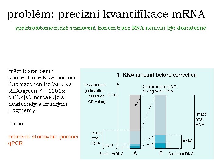 problém: precizní kvantifikace m. RNA spektrofotometrické stanovení koncentrace RNA nemusí být dostatečné řešení: stanovení