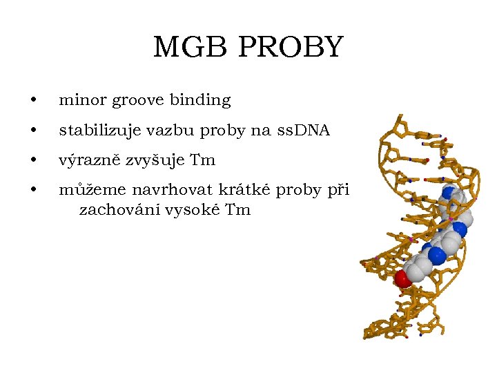MGB PROBY • minor groove binding • stabilizuje vazbu proby na ss. DNA •