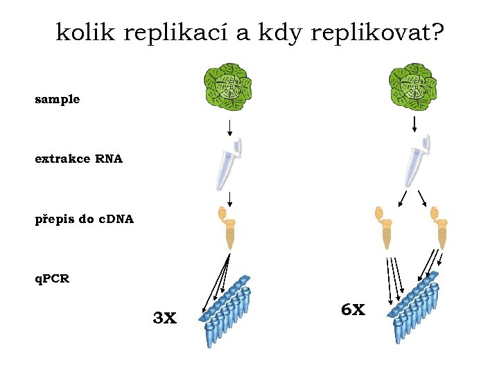 kolik replikací a kdy replikovat? sample extrakce RNA přepis do c. DNA q. PCR