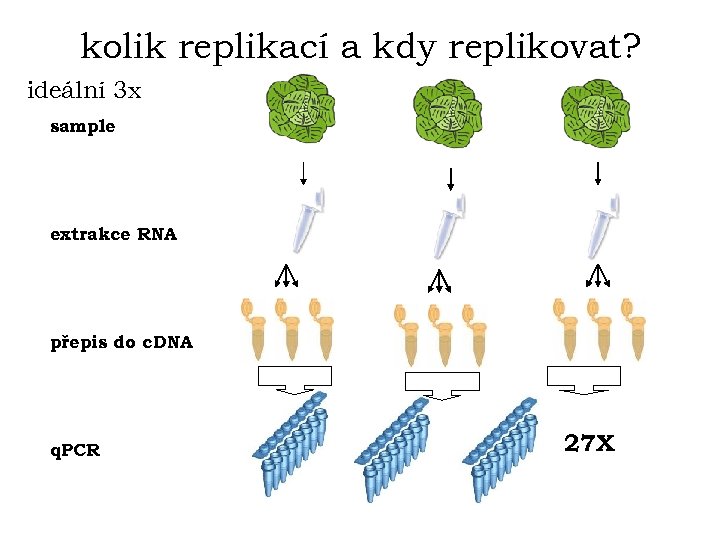 kolik replikací a kdy replikovat? ideální 3 x sample extrakce RNA přepis do c.