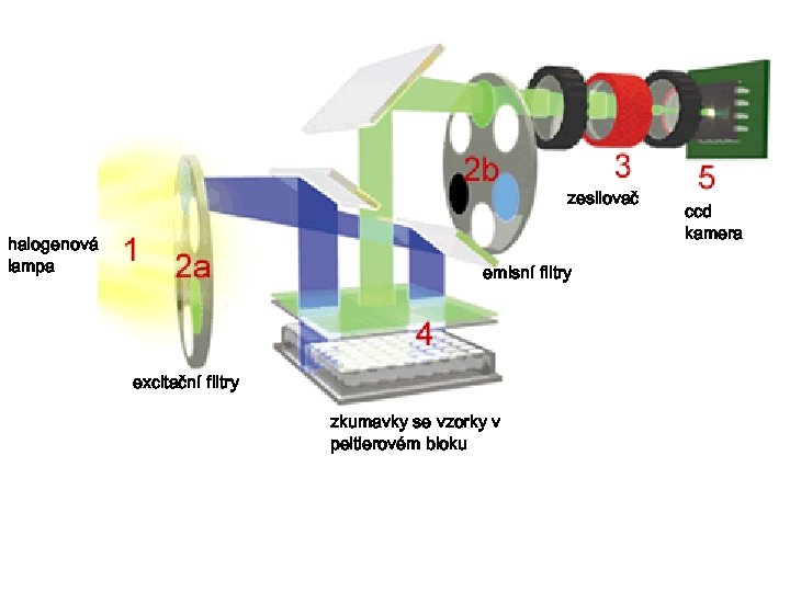 zesilovač halogenová lampa emisní filtry excitační filtry zkumavky se vzorky v peltierovém bloku ccd