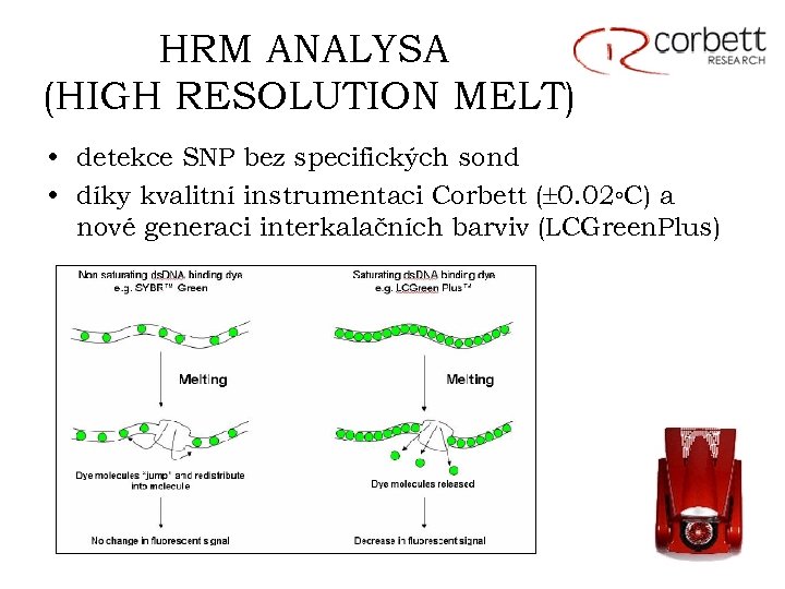 HRM ANALYSA (HIGH RESOLUTION MELT) • detekce SNP bez specifických sond • díky kvalitní
