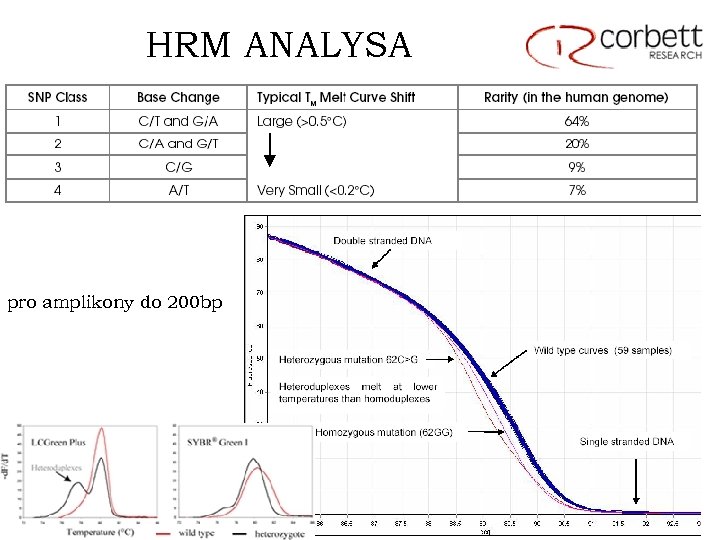 HRM ANALYSA pro amplikony do 200 bp 
