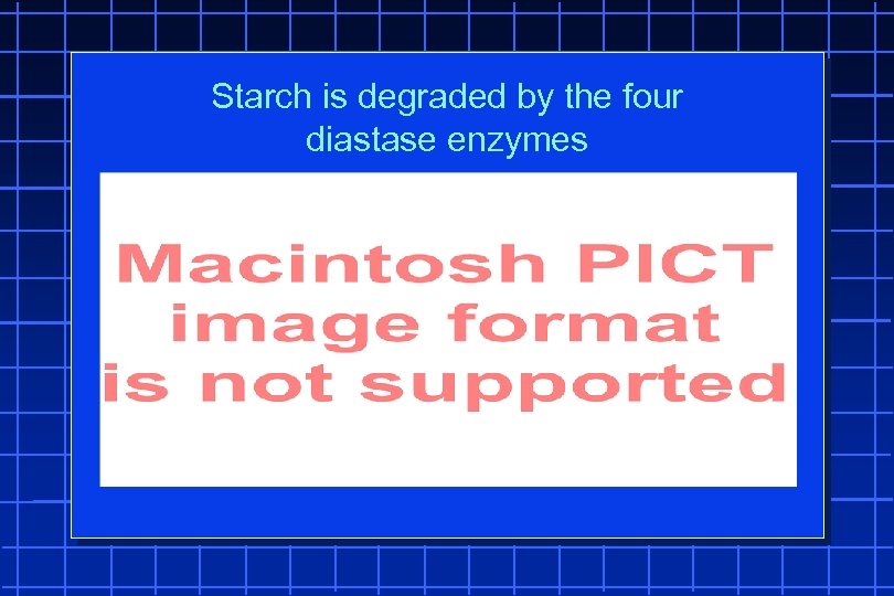 Starch is degraded by the four diastase enzymes 