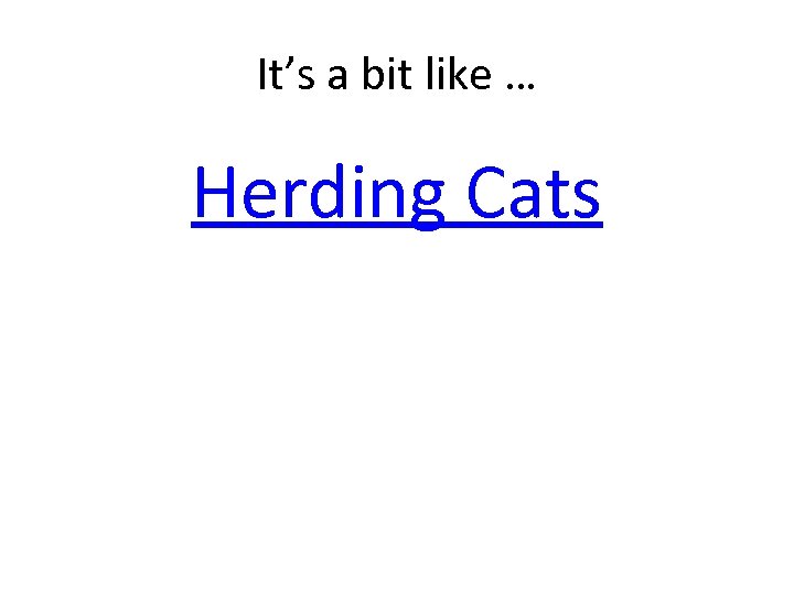 It’s a bit like … Herding Cats 