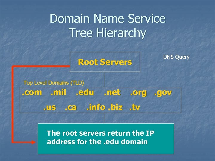 Domain Name Service Tree Hierarchy Root Servers DNS Query Top Level Domains (TLD) .