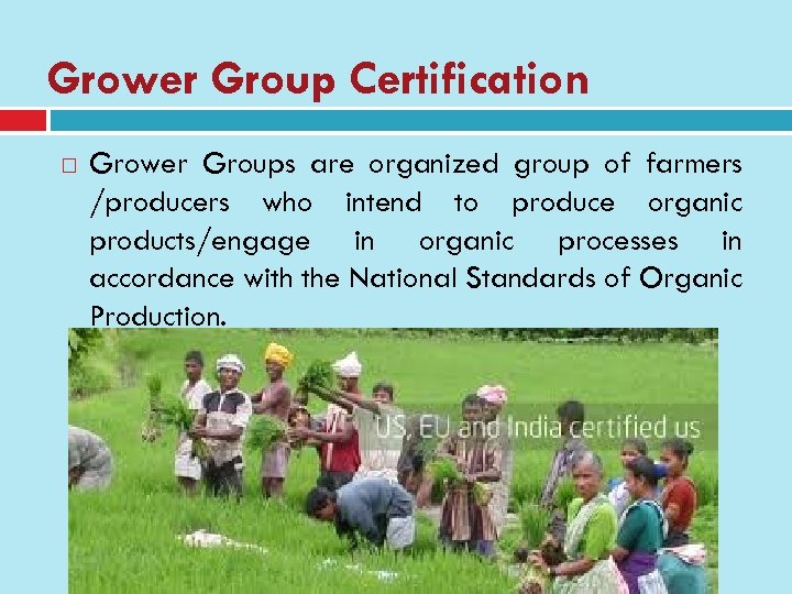 Grower Group Certification Grower Groups are organized group of farmers /producers who intend to