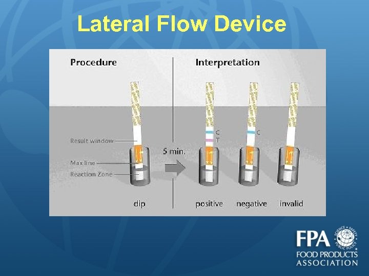 Lateral Flow Device 