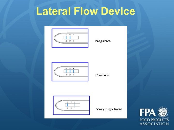 Lateral Flow Device 