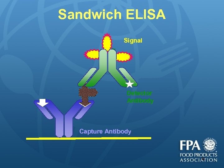 Sandwich ELISA Signal Detector Antibody Capture Antibody 22 