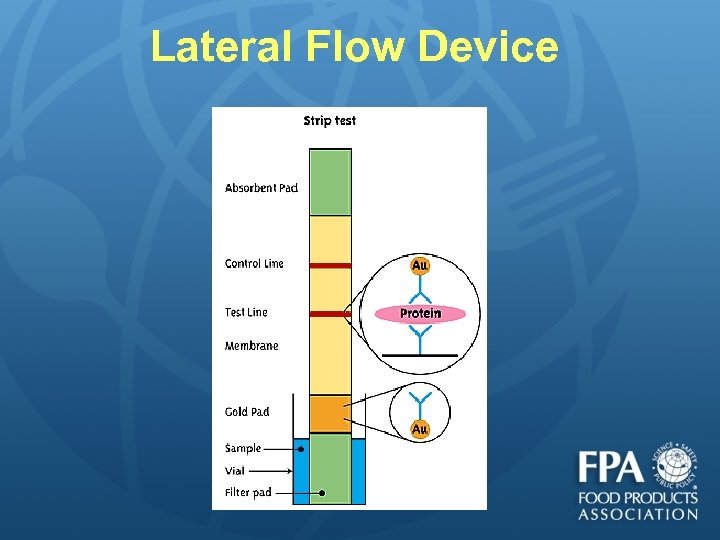 Lateral Flow Device 