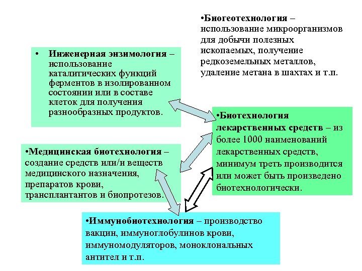  • Инженерная энзимология – использование каталитических функций ферментов в изолированном состоянии или в