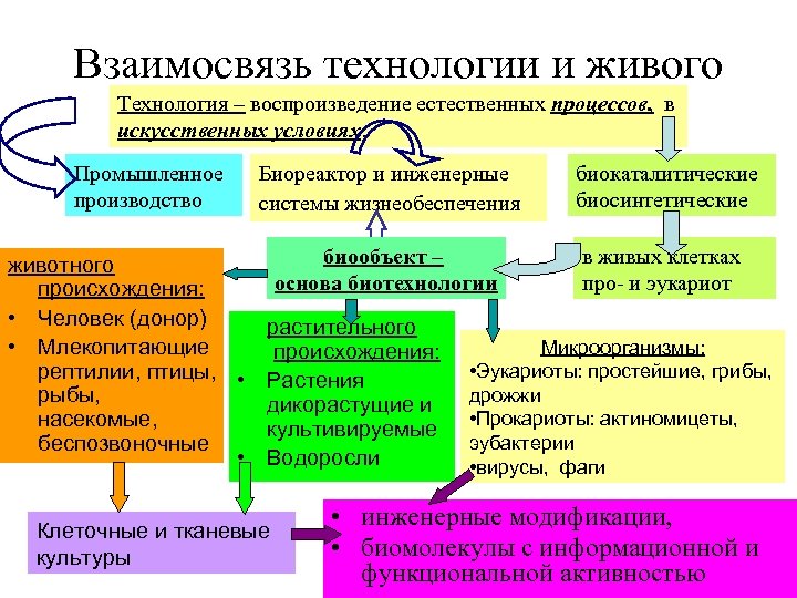 Взаимосвязь технологии и живого Технология – воспроизведение естественных процессов, в искусственных условиях. Промышленное производство