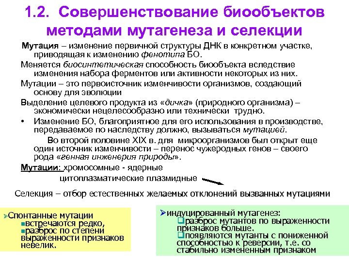 1. 2. Совершенствование биообъектов методами мутагенеза и селекции Мутация – изменение первичной структуры ДНК